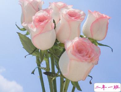 有哲理的句子励志精辟 努力是会上瘾的2