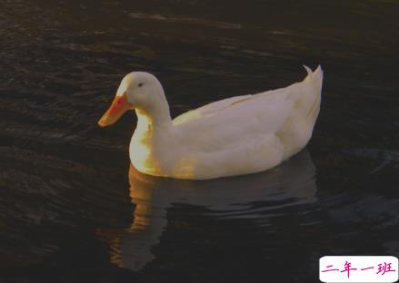 甜蜜的给情侣留言的句子 你来的话日子会甜一点1