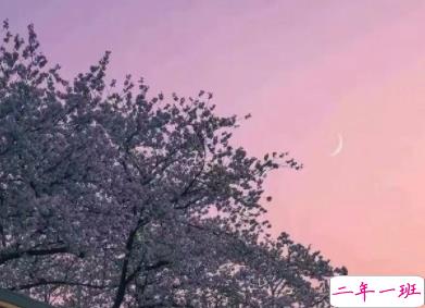 哲理句子唯美简短精辟 让人清醒的哲理句子2