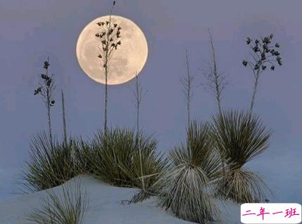 点赞率最高的哲理说说 2019最受欢迎的哲理句子合集1