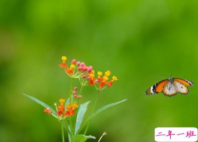 早安心语给所有人心灵鸡汤 最温暖的早安哲理句子1