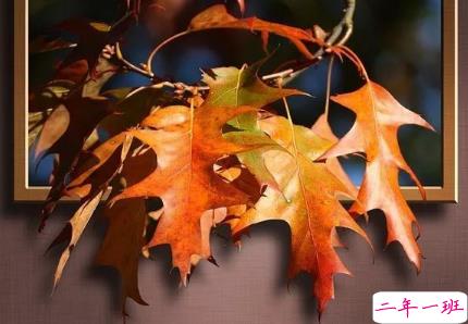 早安心语给所有人心灵鸡汤 最温暖的早安哲理句子2