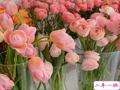 想脱单恋爱的心情句子 请允许我成为你的夏季1