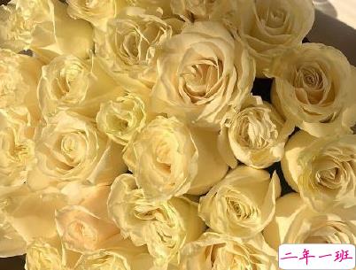 想脱单恋爱的心情句子 请允许我成为你的夏季2