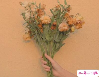 适合情侣秀恩爱的句子 最新撒狗粮的说说简短2