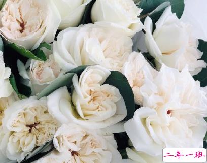 521情话句子大全 很甜很酥的521说说20201