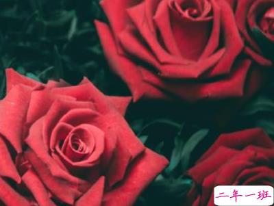 情侣520秀恩爱短句 2020年5月20日情侣甜蜜说说2