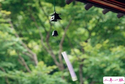 很精辟人生感悟的句子和图片 写人生感悟的句子带图片20186