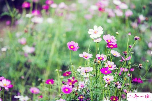 很精辟人生感悟的句子和图片 写人生感悟的句子带图片20187