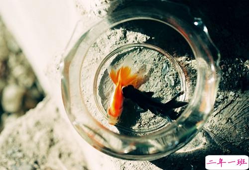 很精辟人生感悟的句子和图片 写人生感悟的句子带图片20189