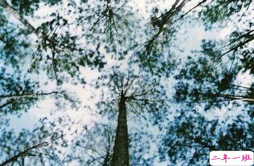 2018关于梦想的哲理句子 2018正能量奋斗的句子2