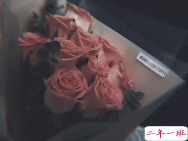 抖音最火单身文案 超级搞笑有趣的单身句子1