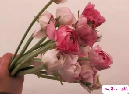 心酸的爱情说说大全 被爱情遗忘的说说2