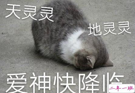 心情好很好的时候发朋友圈的可爱句子 有趣的文案配上开心的你1