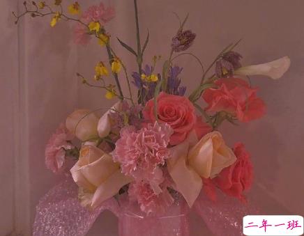 抖音顶尖会被秒赞的有趣文案 一眼入人心的抖音文案1