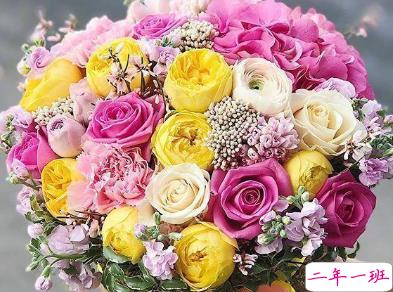 七夕快乐微信说说心情 2019最优美七夕情人节说说2