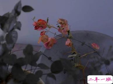 打工人有趣的早安问候文案 早安打工人1