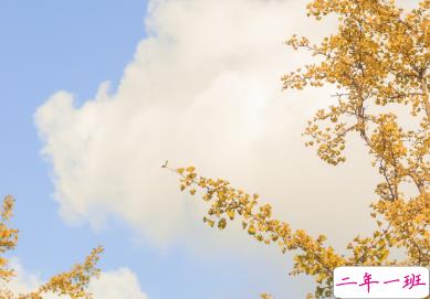 2021谐音梗的甜甜沙雕文案 具有反差的朋友圈文案1