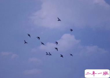 很搞笑的朋友圈的好句子 人生得意须尽欢1