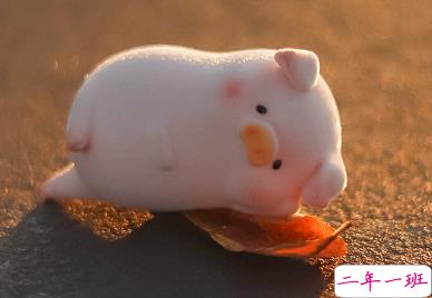 2021谐音梗的甜甜沙雕文案 具有反差的朋友圈文案2