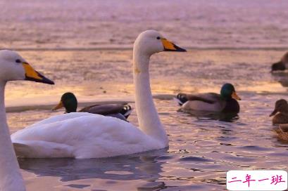 朋友圈那些有意思的语录 下课铃一响精神百倍1