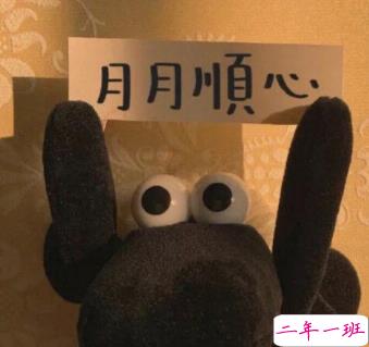 分享一波沙雕可爱的句子 想要甜甜的恋爱馊的也行2