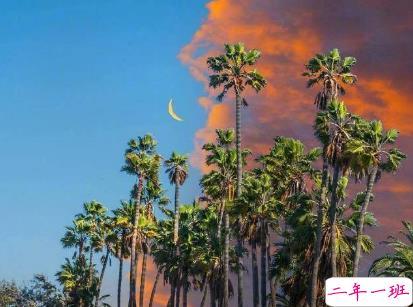 快手经典社会语录爱情 关于爱情的快手经典说说1