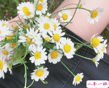 十个字的情话表白给女生 抖音最火10个字情话大全2