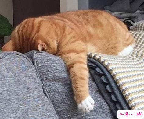 无聊想发个朋友圈搞笑说说 自我介绍一下我是喜欢你的胆小鬼1