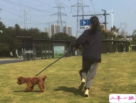 2020精辟搞笑说说开心幽默 如果喝水都会胖为啥不喝奶茶呢1