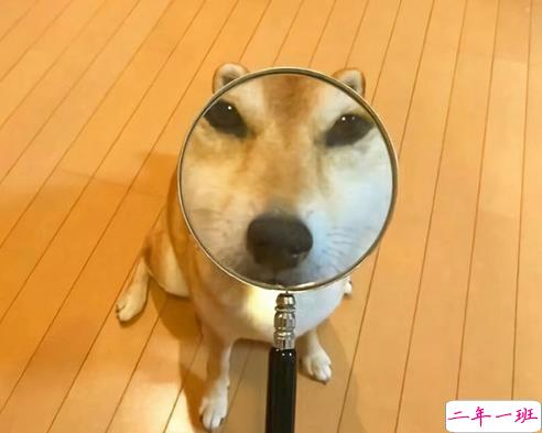 幽默搞笑说说可爱又沙雕 能笑死人的朋友圈短句子1