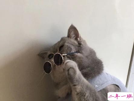 2020精辟搞笑说说开心幽默 如果喝水都会胖为啥不喝奶茶呢2