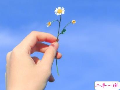 吐槽天气热的文案 夏天热死人的搞笑短句1