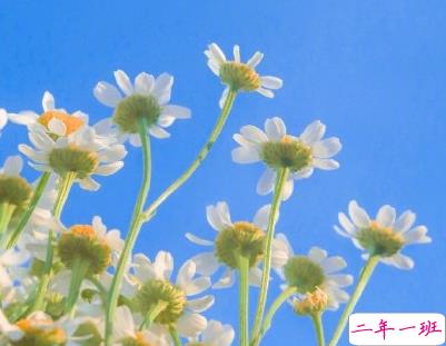 吐槽天气热的文案 夏天热死人的搞笑短句2