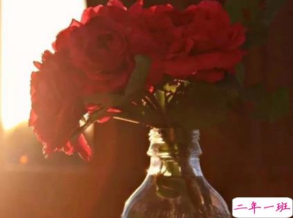 快手最火情侣秀恩爱说说 最撩人的30句情话让人心动1