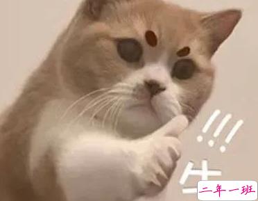 抖音搞笑说说让人狂赞 很有趣吸引人的句子2