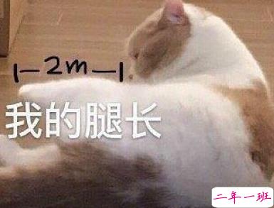 发朋友圈的沙雕文案 笑到窒息的说说句子1