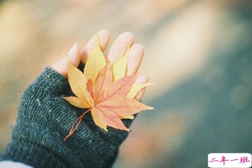 甜甜的撩人心的爱情说说 小情话暖人心给女生2