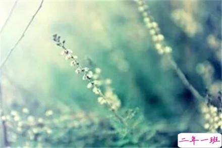 抖音经典好听的爱情说说 心有多近那么距离就有多近2