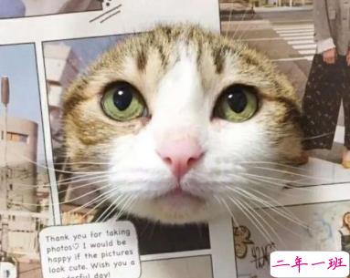 快手搞笑有趣句子合集 别跟我谈感情多伤钱啊1