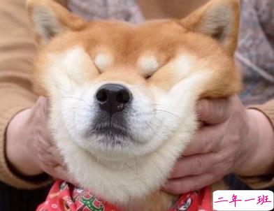 朋友圈沙雕文案2020 超级皮笑死人的说说1