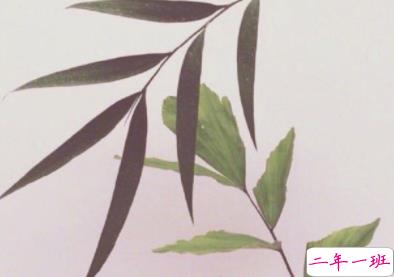 天冷幽默说说发朋友圈 2019最新吐槽天气冷的句子2