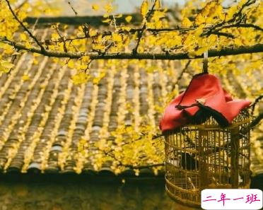 2019天气变冷的幽默句子 降温了朋友圈搞笑说说抖音最火1