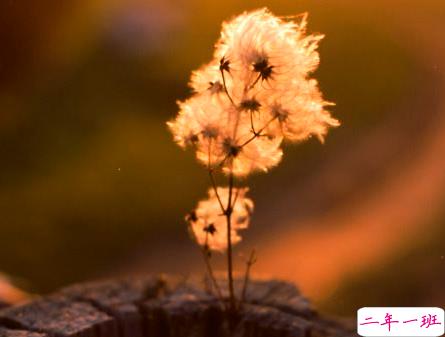 深有感悟的伤感爱情说说 简短一句话直戳人心的爱情说说1