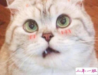 抖音最雷人搞笑的句子 笑到停不下来的说说2