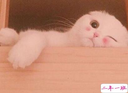 qq扩列说说怎么写逗比 超级搞笑有趣的扩列说说1