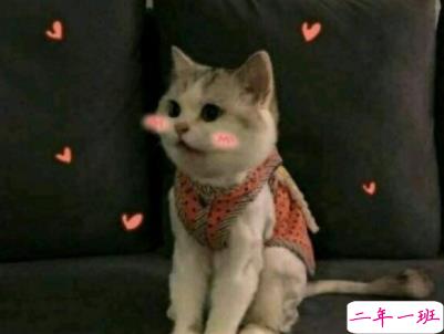 2019五一幽默搞笑说说大全 五一来了可是我的钱包还没准备好1