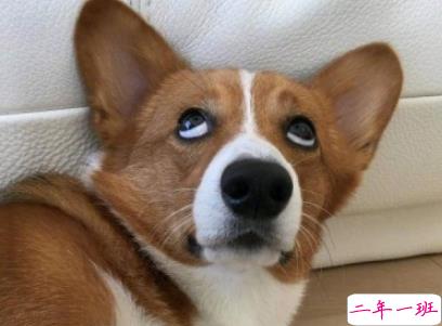 2019五一幽默搞笑说说大全 五一来了可是我的钱包还没准备好2