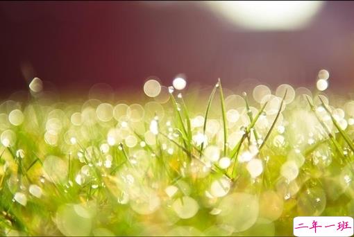 让你爆笑的幽默有趣的句子 2019最流行搞笑说说逗比专属2