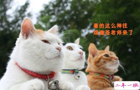 2018清明节搞笑说说:清明节应该回小学初中扫扫墓,因为那里埋葬了你的青春。1